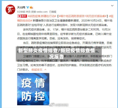 新型肺炎疫情排查/新冠疫情排查情况报告-第3张图片