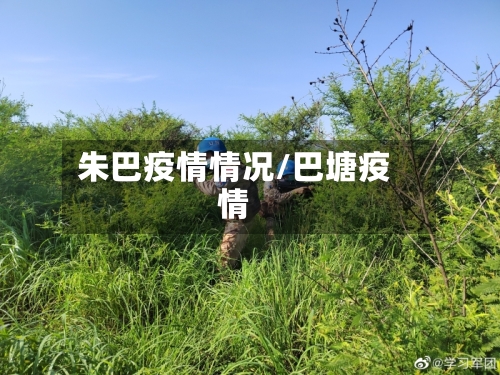 朱巴疫情情况/巴塘疫情-第2张图片