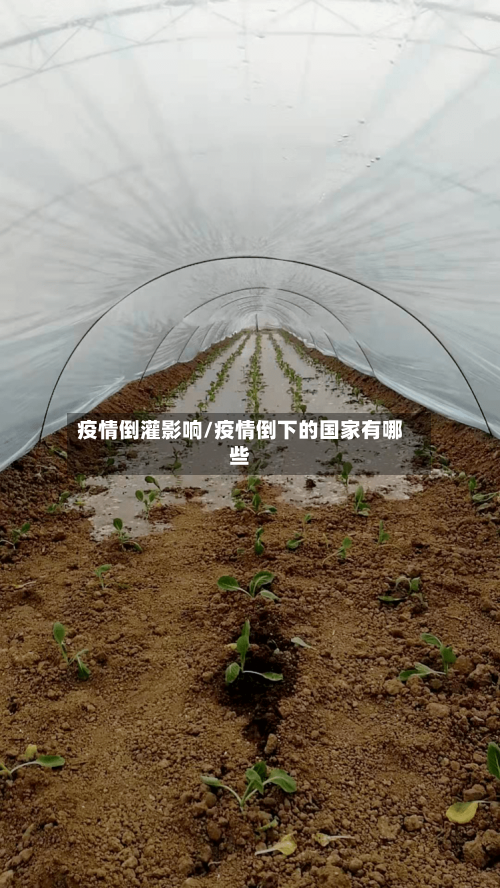 疫情倒灌影响/疫情倒下的国家有哪些-第2张图片