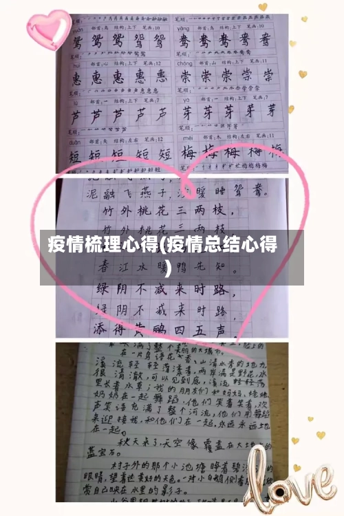 疫情梳理心得(疫情总结心得)-第1张图片