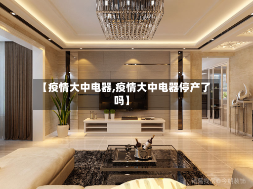 【疫情大中电器,疫情大中电器停产了吗】-第2张图片