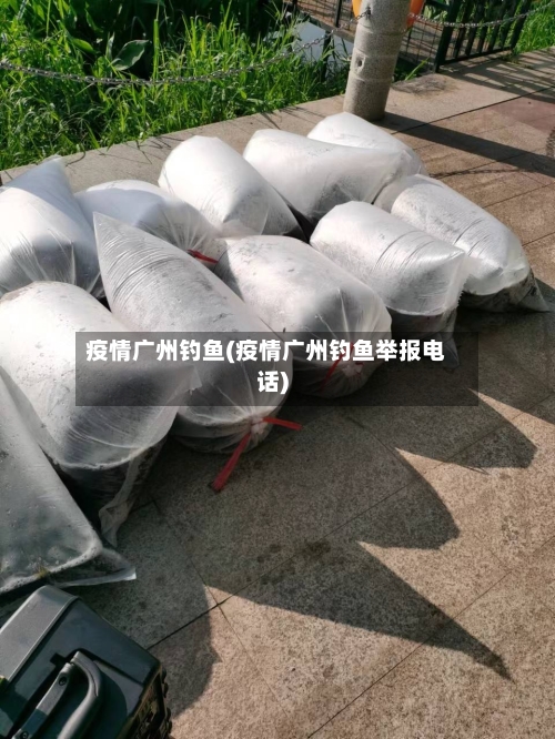 疫情广州钓鱼(疫情广州钓鱼举报电话)-第2张图片
