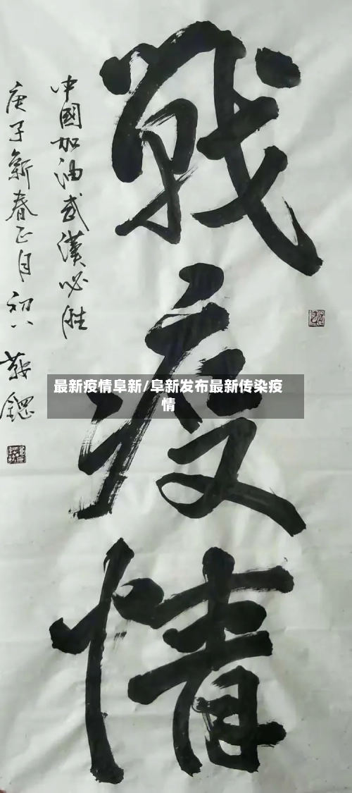 最新疫情阜新/阜新发布最新传染疫情-第2张图片