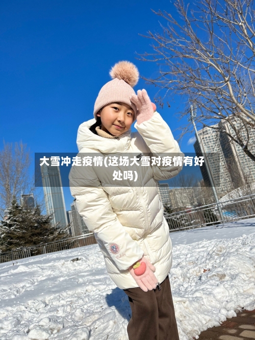 大雪冲走疫情(这场大雪对疫情有好处吗)-第1张图片
