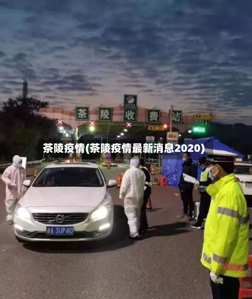 茶陵疫情(茶陵疫情最新消息2020)-第1张图片