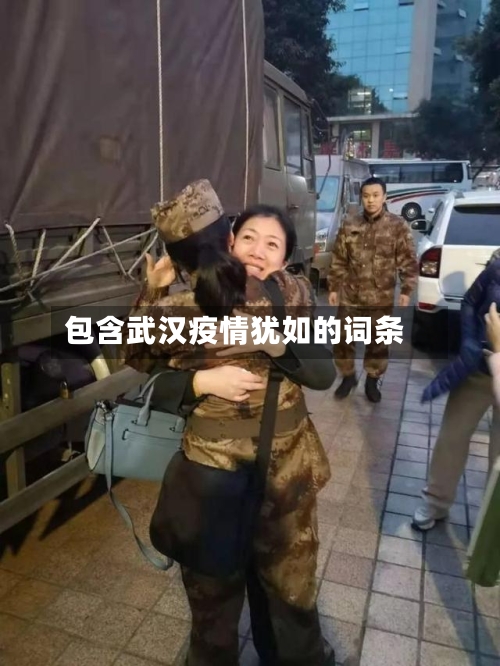 包含武汉疫情犹如的词条-第3张图片
