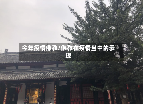 今年疫情佛教/佛教在疫情当中的表现-第1张图片