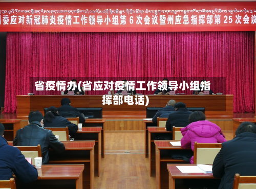 省疫情办(省应对疫情工作领导小组指挥部电话)-第2张图片