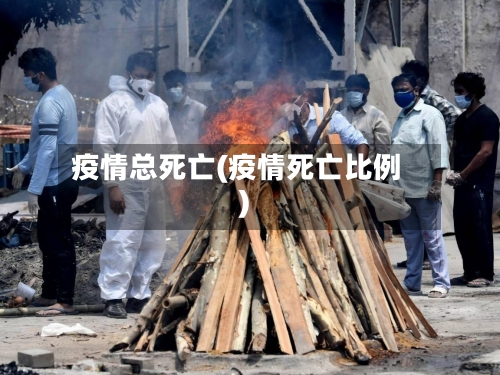 疫情总死亡(疫情死亡比例)-第1张图片