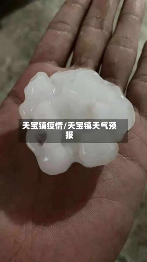 天宝镇疫情/天宝镇天气预报-第2张图片