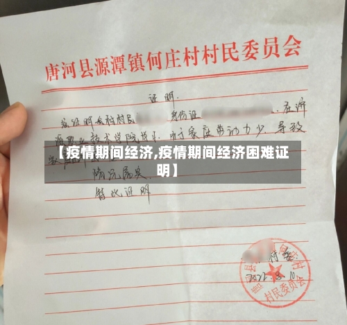 【疫情期间经济,疫情期间经济困难证明】-第1张图片