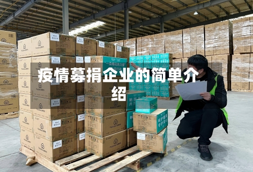 疫情募捐企业的简单介绍-第1张图片