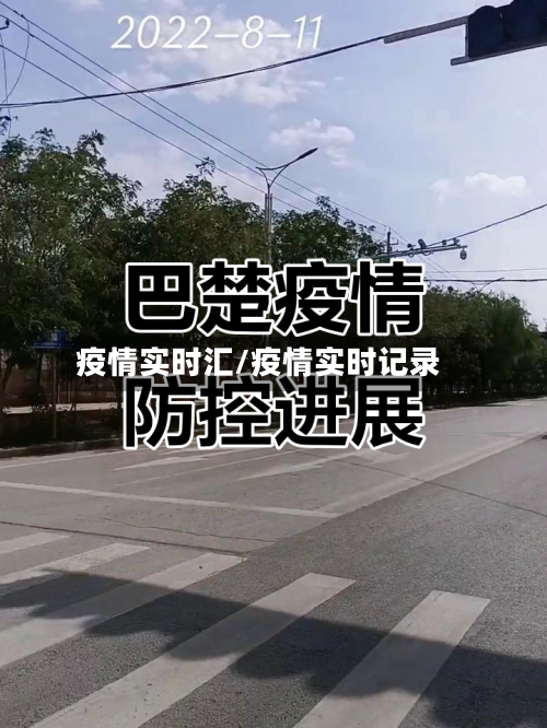 疫情实时汇/疫情实时记录-第1张图片