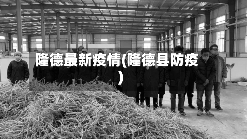 隆德最新疫情(隆德县防疫)-第1张图片