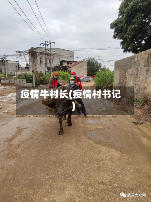 疫情牛村长(疫情村书记)-第1张图片
