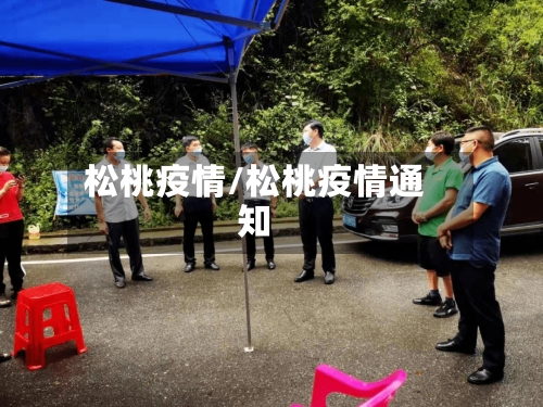松桃疫情/松桃疫情通知-第2张图片