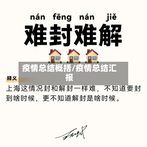 疫情总结概括/疫情总结汇报-第1张图片