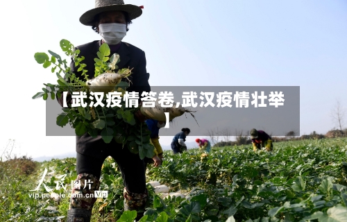 【武汉疫情答卷,武汉疫情壮举】-第1张图片