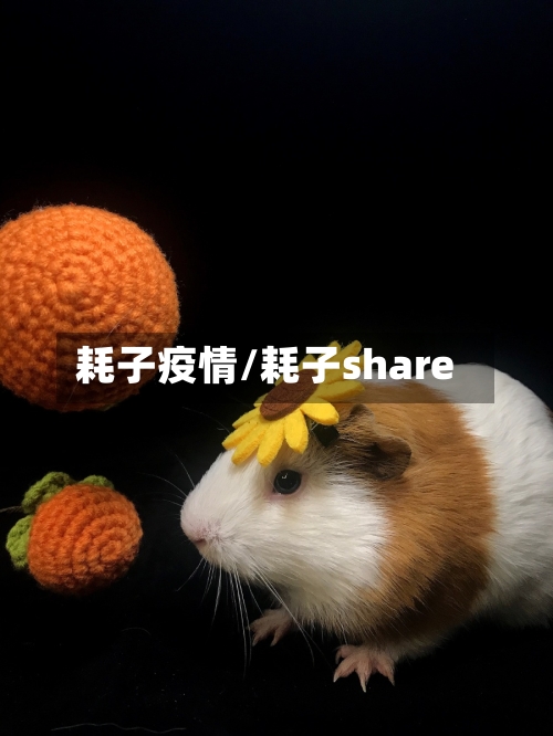 耗子疫情/耗子share-第3张图片