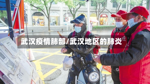 武汉疫情肺部/武汉地区的肺炎-第1张图片