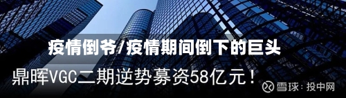疫情倒爷/疫情期间倒下的巨头-第2张图片
