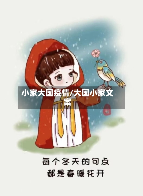 小家大国疫情/大国小家文案-第1张图片
