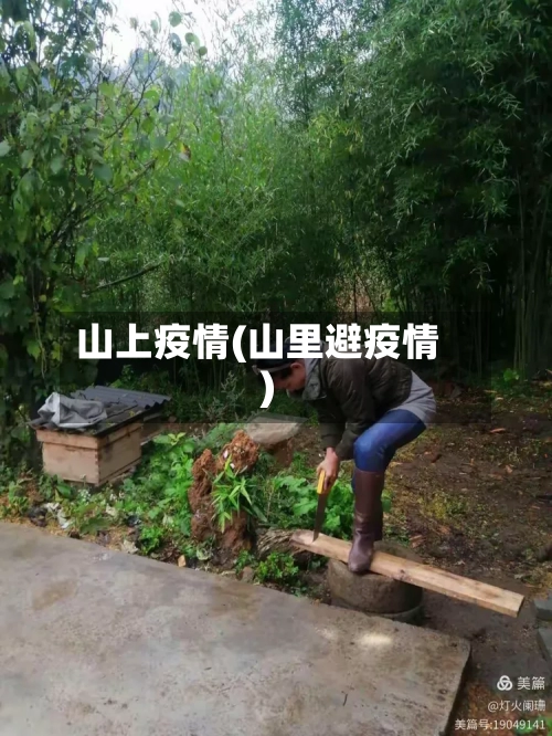 山上疫情(山里避疫情)-第1张图片
