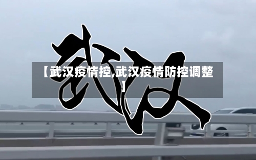 【武汉疫情控,武汉疫情防控调整】-第1张图片