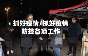抓好疫情/抓好疫情防控各项工作-第1张图片