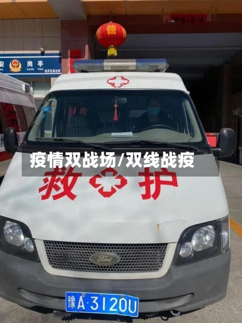 疫情双战场/双线战疫-第2张图片