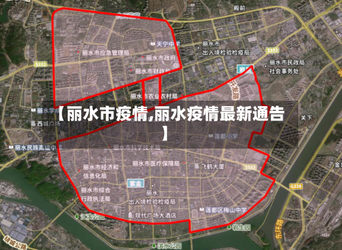 【丽水市疫情,丽水疫情最新通告】-第2张图片