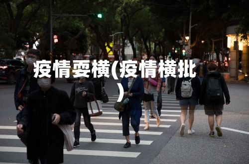 疫情耍横(疫情横批)-第2张图片