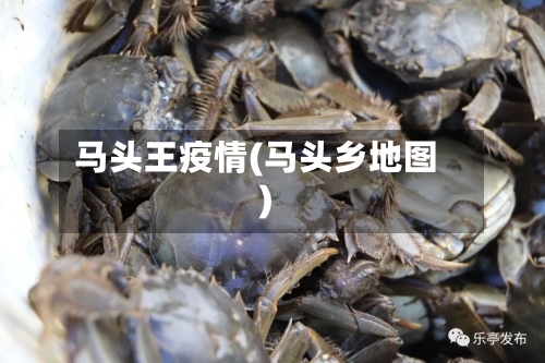 马头王疫情(马头乡地图)-第2张图片
