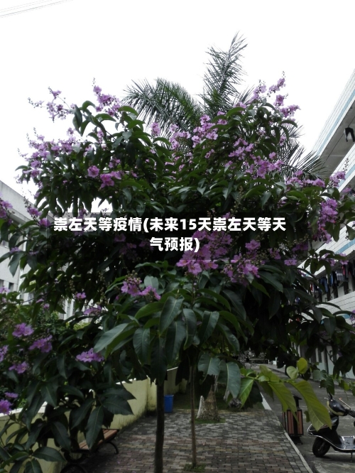 崇左天等疫情(未来15天崇左天等天气预报)-第1张图片