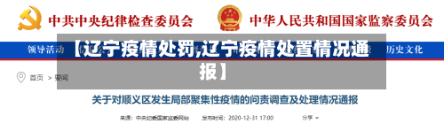 【辽宁疫情处罚,辽宁疫情处置情况通报】-第1张图片