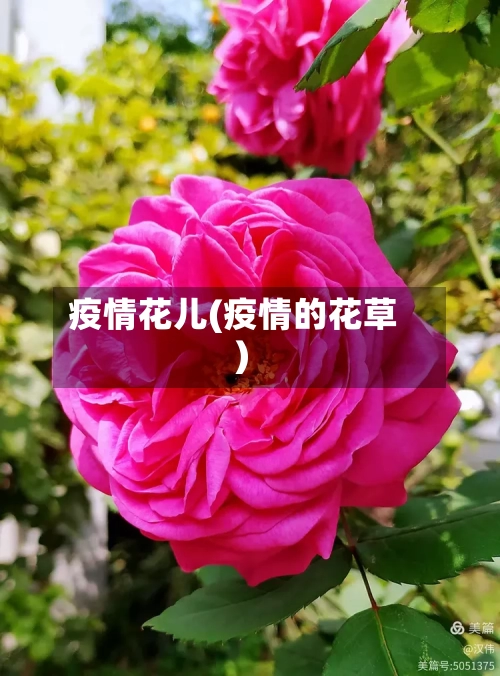 疫情花儿(疫情的花草)-第1张图片