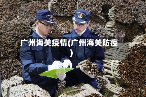 广州海关疫情(广州海关防疫)-第2张图片