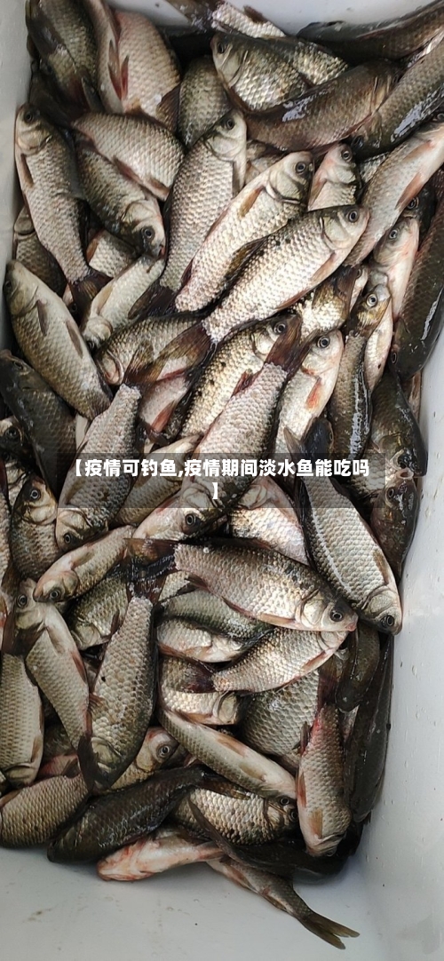 【疫情可钓鱼,疫情期间淡水鱼能吃吗】-第1张图片