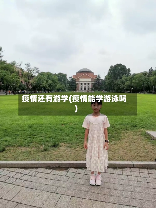 疫情还有游学(疫情能学游泳吗)-第3张图片