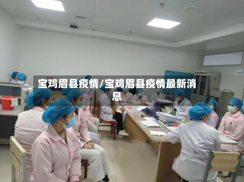 宝鸡眉县疫情/宝鸡眉县疫情最新消息-第3张图片