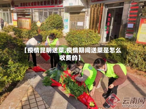 【疫情昆明送菜,疫情期间送菜是怎么收费的】-第2张图片