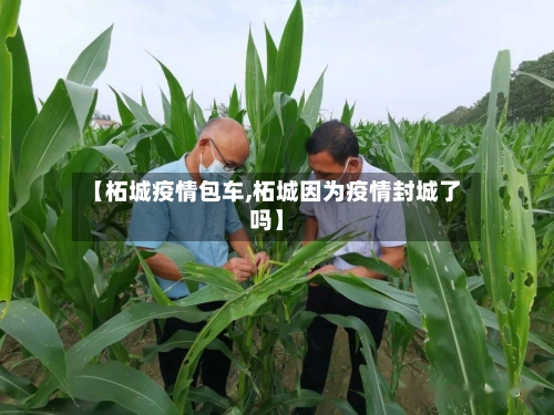 【柘城疫情包车,柘城因为疫情封城了吗】-第1张图片