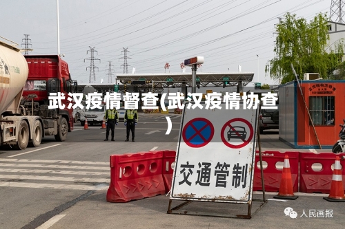 武汉疫情督查(武汉疫情协查)-第2张图片