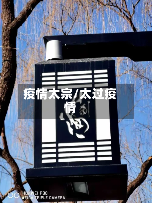 疫情太宗/太过疫情-第2张图片