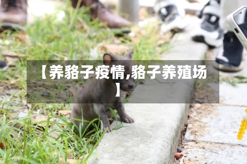 【养貉子疫情,貉子养殖场】-第3张图片