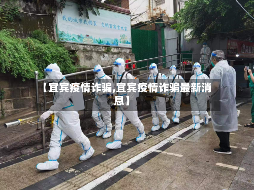 【宜宾疫情诈骗,宜宾疫情诈骗最新消息】-第3张图片