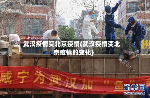 武汉疫情变北京疫情(武汉疫情变北京疫情的变化)-第2张图片