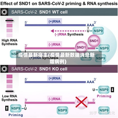 疫情最新宿主(疫情最新数据消息新增病例)-第2张图片