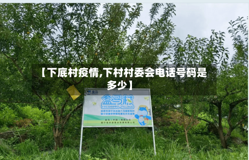 【下底村疫情,下村村委会电话号码是多少】-第1张图片