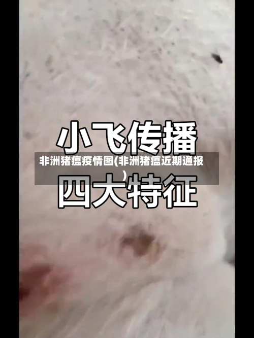 非洲猪瘟疫情图(非洲猪瘟近期通报)-第1张图片